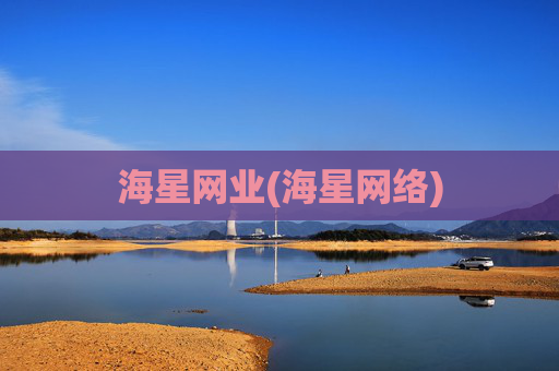 海星网业(海星网络)