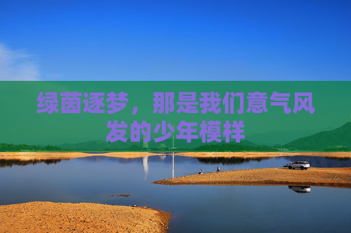 绿茵逐梦,那是我们意气风发的少年模样