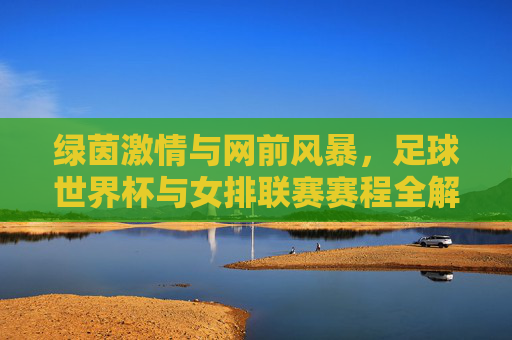 绿茵激情与网前风暴,足球世界杯与女排联赛赛程全解析