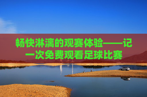 畅快淋漓的观赛体验——记一次免费观看足球比赛