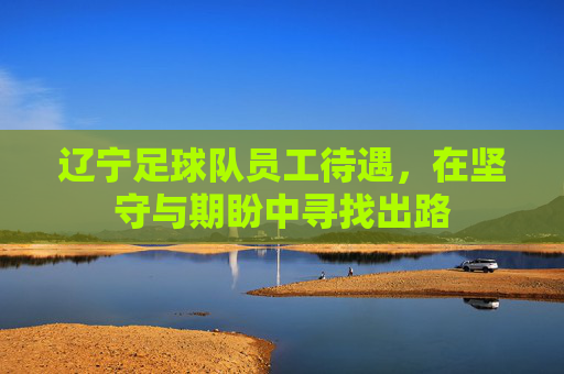 辽宁足球队员工待遇，在坚守与期盼中寻找出路