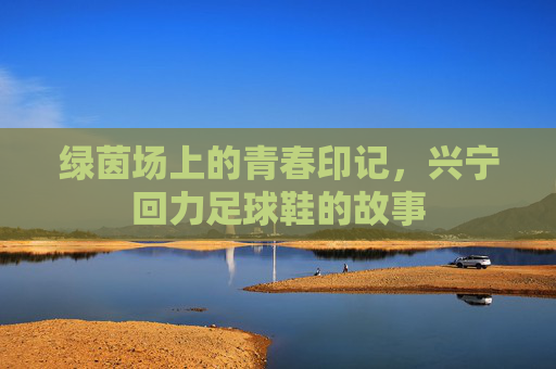 绿茵场上的青春印记,兴宁回力足球鞋的故事
