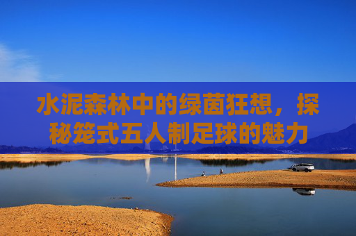 水泥森林中的绿茵狂想,探秘笼式五人制足球的魅力
