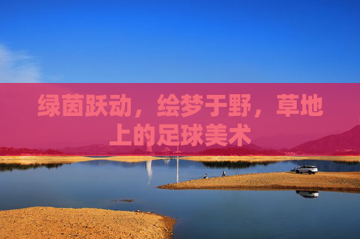 绿茵跃动，绘梦于野，草地上的足球美术