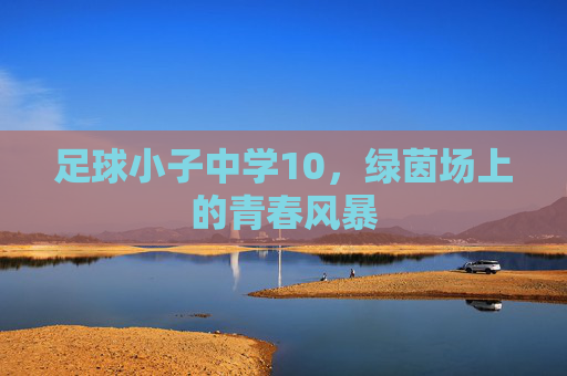 足球小子中学10,绿茵场上的青春风暴