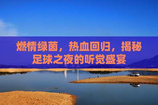燃情绿茵，热血回归，揭秘足球之夜的听觉盛宴