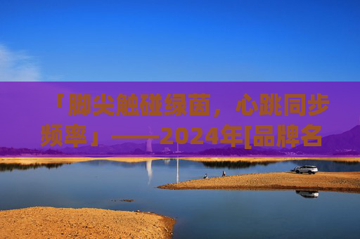 「脚尖触碰绿茵，心跳同步频率」——2024年[品牌名称]足球鞋主题体验日圆满落幕