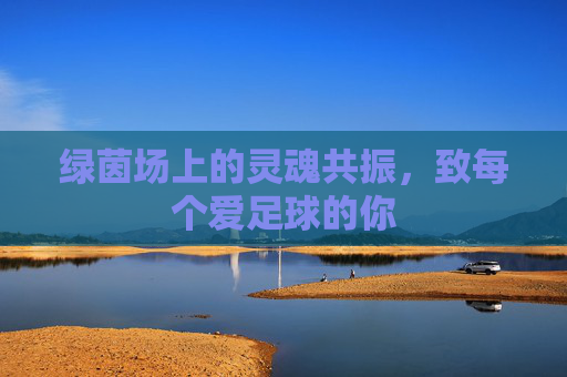 绿茵场上的灵魂共振,致每个爱足球的你