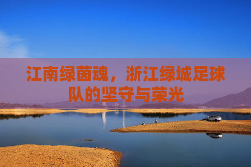 江南绿茵魂,浙江绿城足球队的坚守与荣光