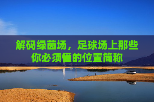 解码绿茵场，足球场上那些你必须懂的位置简称