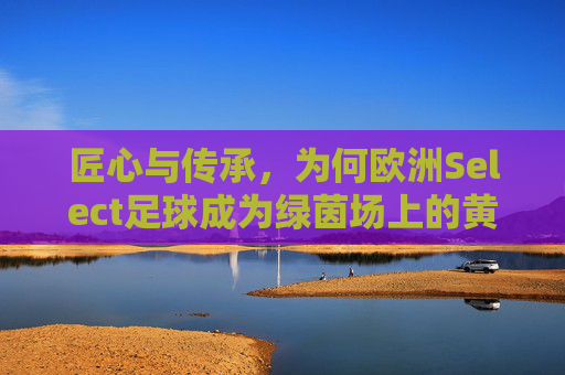 匠心与传承,为何欧洲Select足球成为绿茵场上的黄金标准