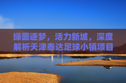 绿茵逐梦，活力新城，深度解析天津泰达足球小镇项目的体育产业蓝图