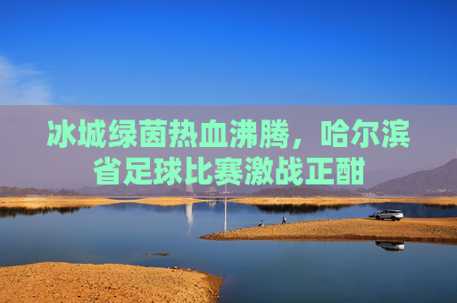 冰城绿茵热血沸腾，哈尔滨省足球比赛激战正酣