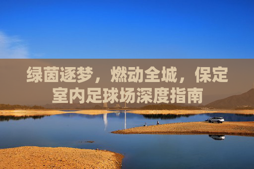 绿茵逐梦,燃动全城,保定室内足球场深度指南
