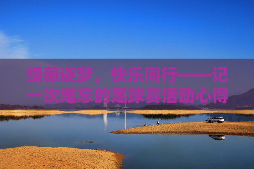 绿茵逐梦,快乐同行——记一次难忘的足球赛活动心得