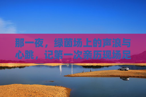 那一夜,绿茵场上的声浪与心跳,记第一次亲历现场足球