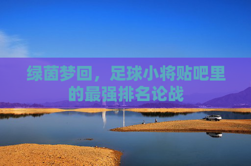 绿茵梦回，足球小将贴吧里的最强排名论战