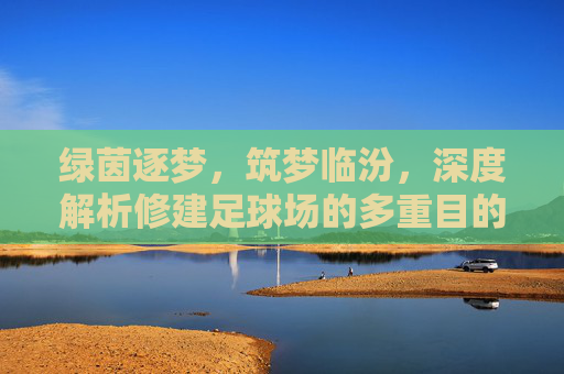 绿茵逐梦，筑梦临汾，深度解析修建足球场的多重目的