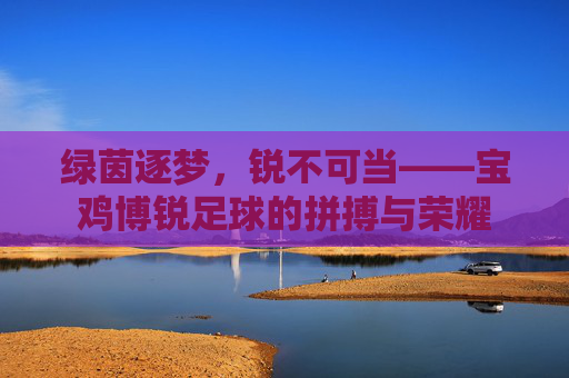 绿茵逐梦，锐不可当——宝鸡博锐足球的拼搏与荣耀