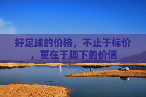 好足球的价格,不止于标价,更在于脚下的价值