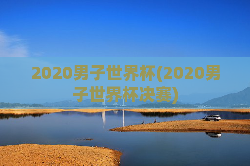 2020男子世界杯(2020男子世界杯决赛)
