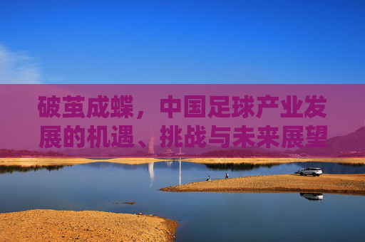 破茧成蝶,中国足球产业发展的机遇、挑战与未来展望