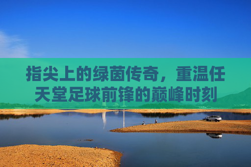 指尖上的绿茵传奇,重温任天堂足球前锋的巅峰时刻