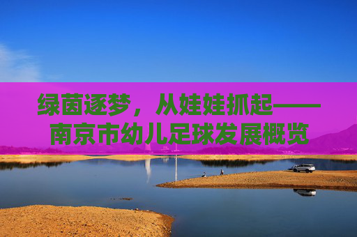 绿茵逐梦，从娃娃抓起——南京市幼儿足球发展概览