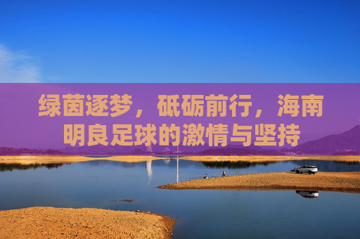 绿茵逐梦,砥砺前行,海南明良足球的激情与坚持