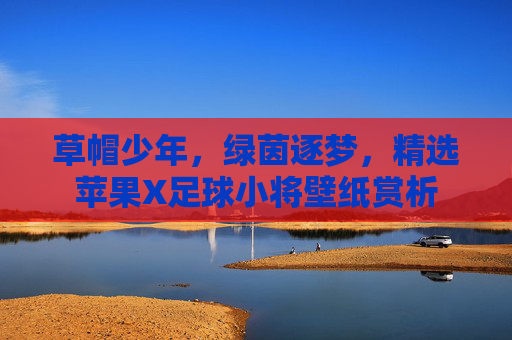 草帽少年,绿茵逐梦,精选苹果X足球小将壁纸赏析