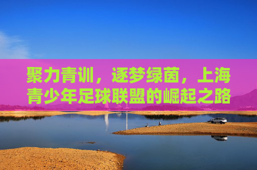 聚力青训,逐梦绿茵,上海青少年足球联盟的崛起之路