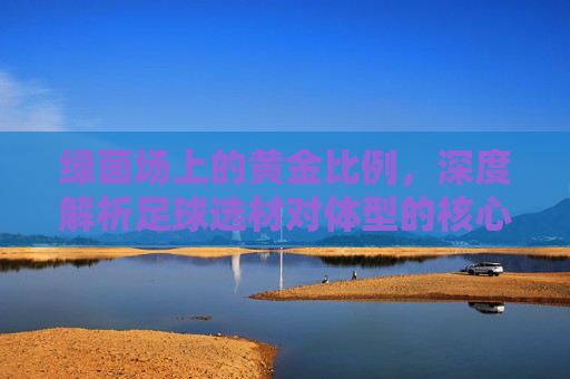 绿茵场上的黄金比例,深度解析足球选材对体型的核心要求