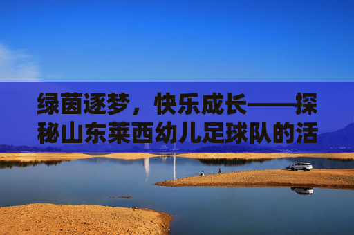 绿茵逐梦,快乐成长——探秘山东莱西幼儿足球队的活力风采