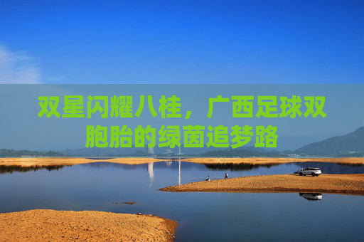 双星闪耀八桂,广西足球双胞胎的绿茵追梦路