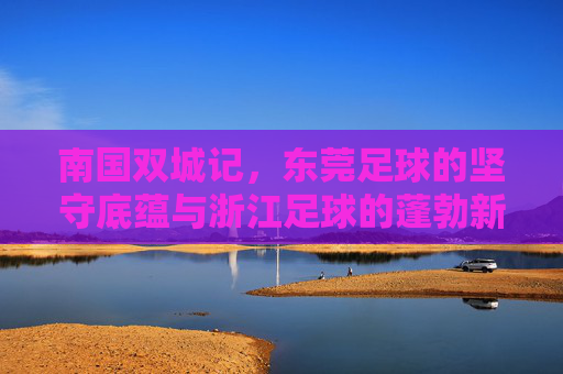 南国双城记，东莞足球的坚守底蕴与浙江足球的蓬勃新生