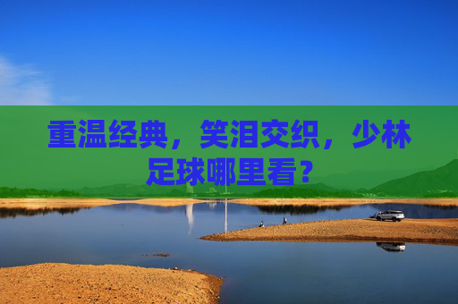 重温经典,笑泪交织,少林足球哪里看?
