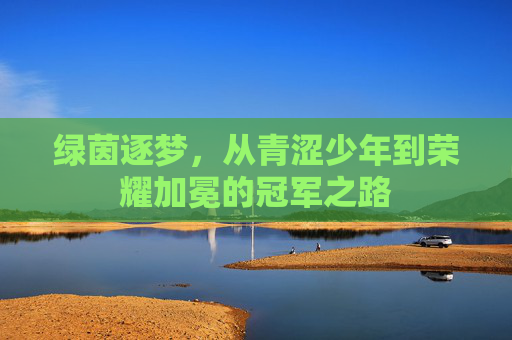 绿茵逐梦，从青涩少年到荣耀加冕的冠军之路