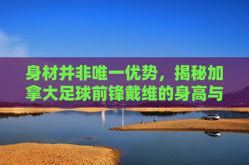 身材并非唯一优势,揭秘加拿大足球前锋戴维的身高与球技