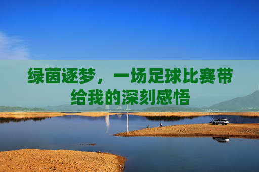 绿茵逐梦,一场足球比赛带给我的深刻感悟