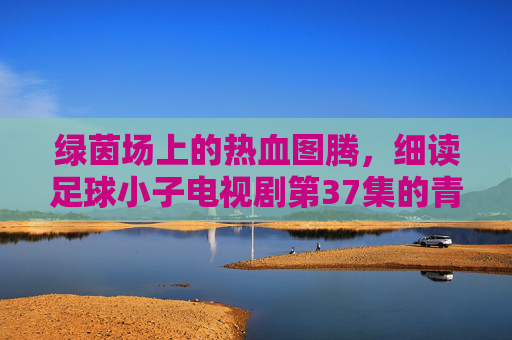 绿茵场上的热血图腾,细读足球小子电视剧第37集的青春密码