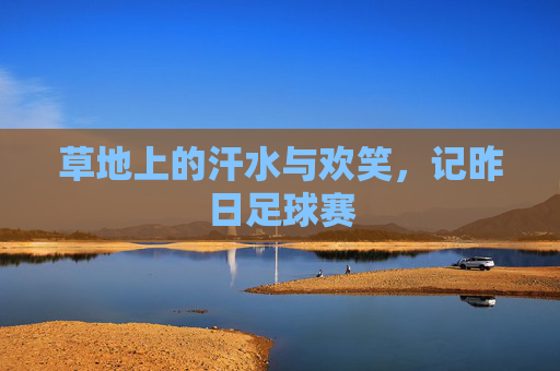 草地上的汗水与欢笑,记昨日足球赛