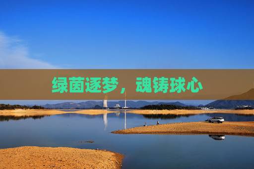 绿茵逐梦，魂铸球心