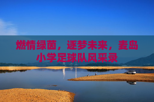 燃情绿茵,逐梦未来,麦岛小学足球队风采录