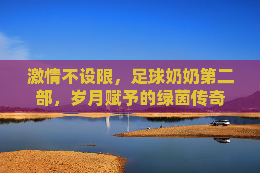激情不设限,足球奶奶第二部,岁月赋予的绿茵传奇