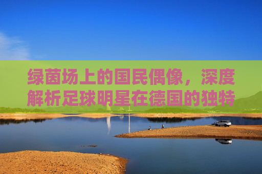 绿茵场上的国民偶像,深度解析足球明星在德国的独特地位