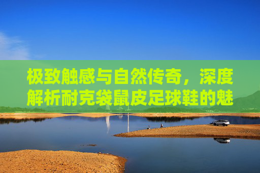 极致触感与自然传奇,深度解析耐克袋鼠皮足球鞋的魅力