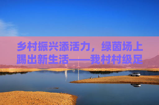 乡村振兴添活力,绿茵场上踢出新生活——我村村级足球场修建简报