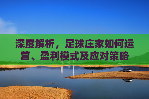 深度解析,足球庄家如何运营、盈利模式及应对策略