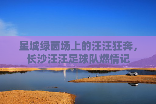 星城绿茵场上的汪汪狂奔，长沙汪汪足球队燃情记