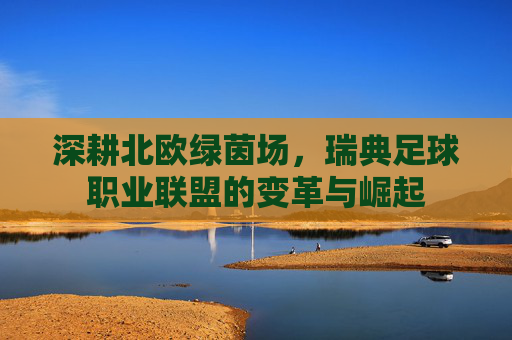 深耕北欧绿茵场，瑞典足球职业联盟的变革与崛起